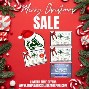 Christmas Sale_120825